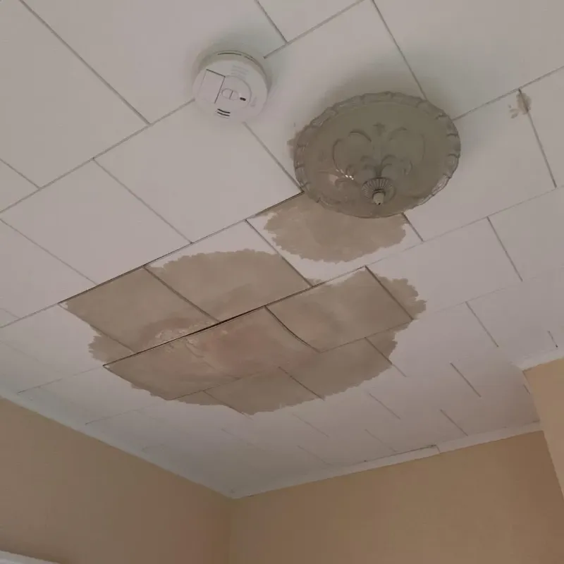 Ceiling Water Damage Repair in Rye, NY