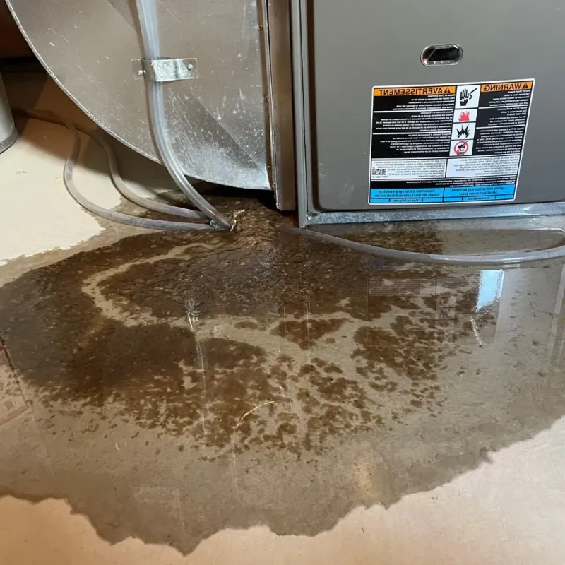 Pipe Burst and Leak Restoration in Rye, NY
